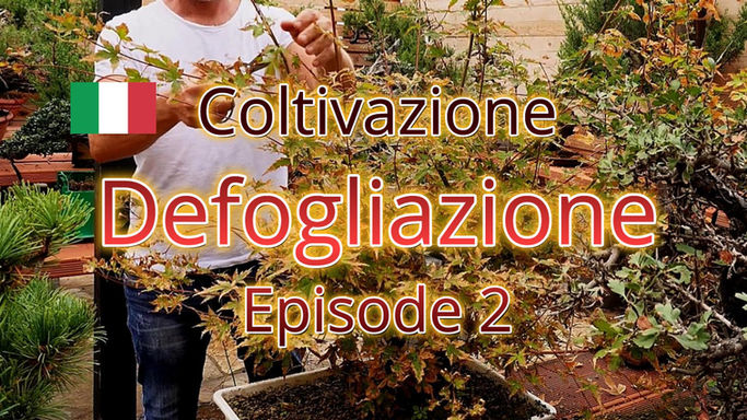 Book Defogliazione Ep.2